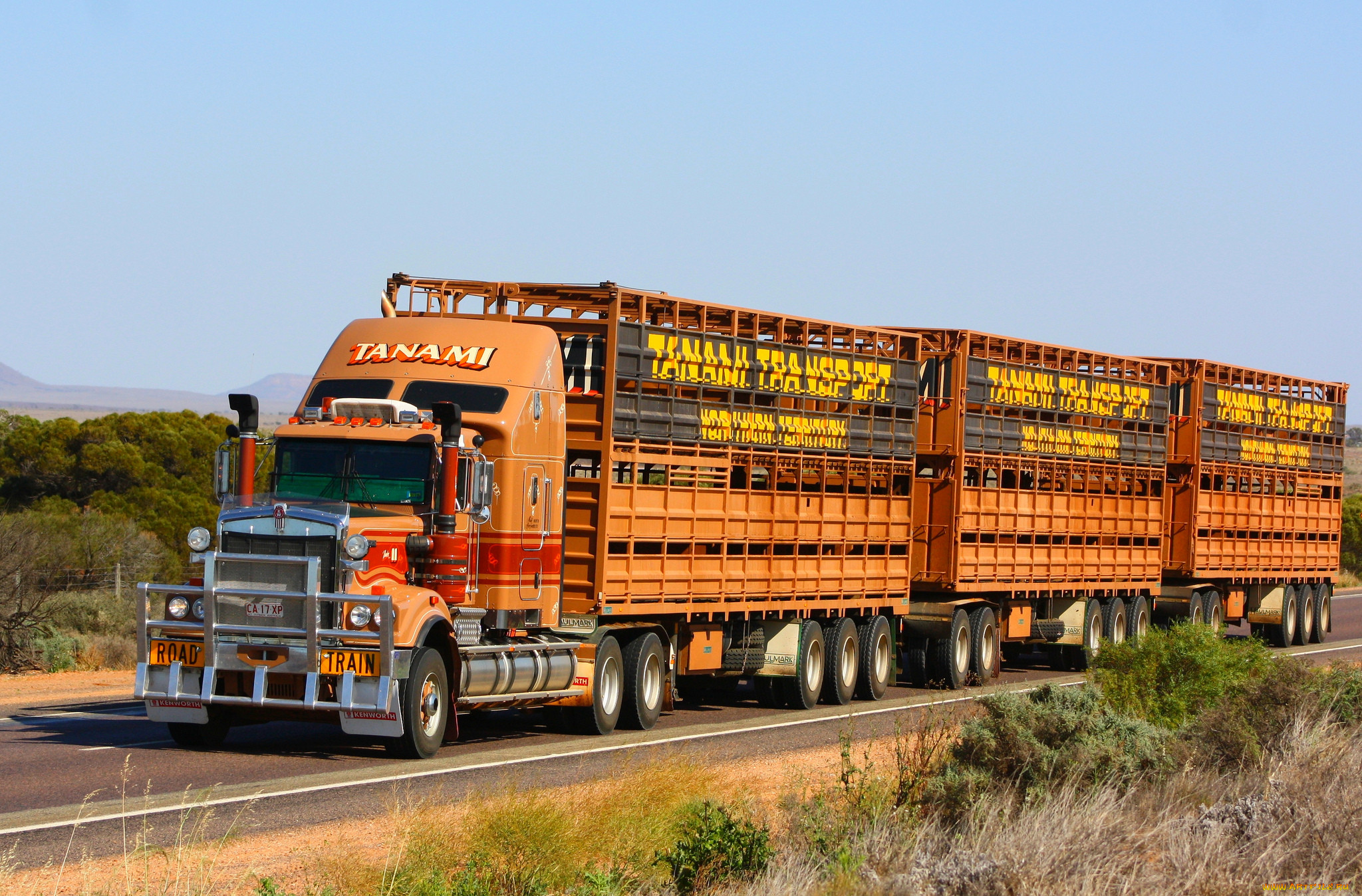 kenworth, , truck, company, , , 